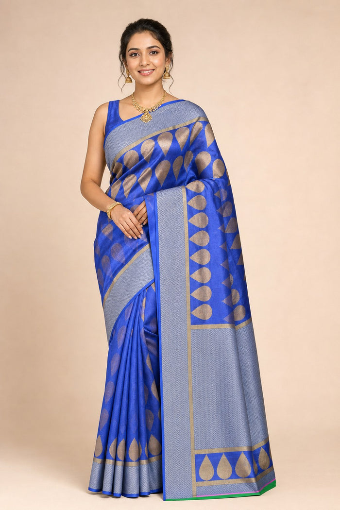 BLUE COLOR SAREE - model front view